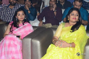 Yatra Movie Pre Release Event Photos